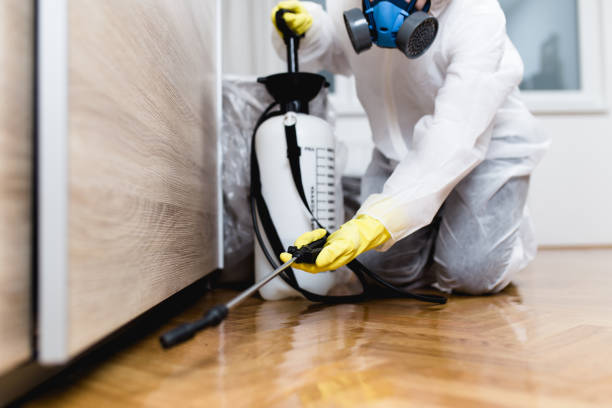 Best Local Pest Control Services  in Trenton, GA