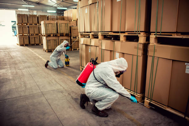 Best Wasp Removal Services  in Trenton, GA