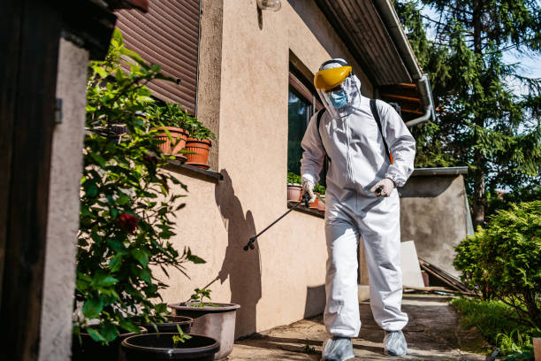 Best Rat Extermination Near Me  in Trenton, GA