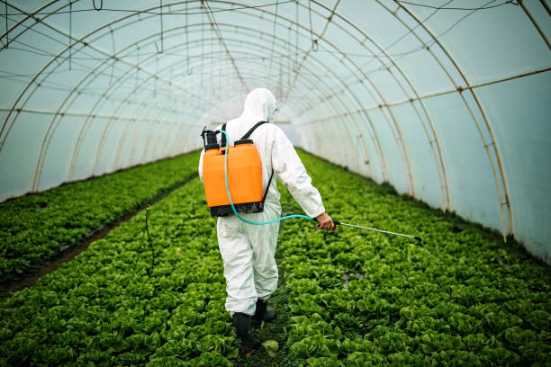 Best Affordable Pest Control Services  in Trenton, GA