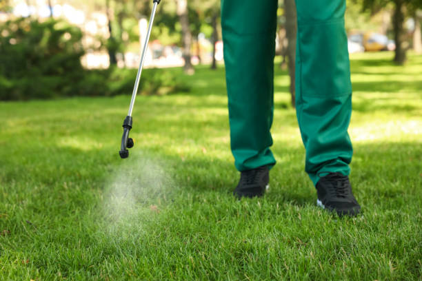 Wasp Removal Services in Trenton, GA