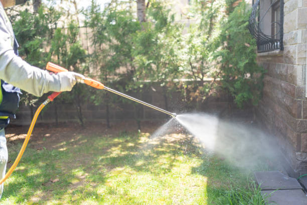 Trusted Trenton, GA Pest Control Experts