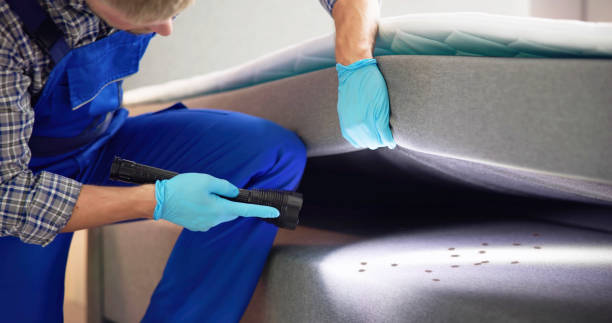Best Termite Control Services  in Trenton, GA