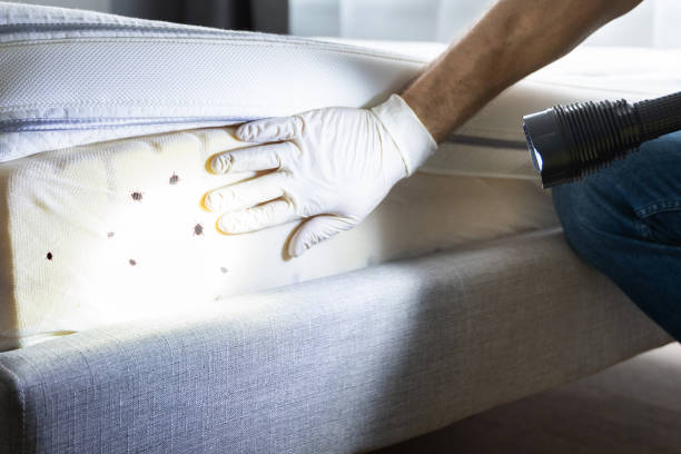 Best Emergency Pest Control  in Trenton, GA