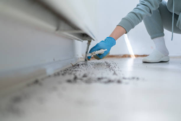 Best Best Pest Control Companies  in Trenton, GA