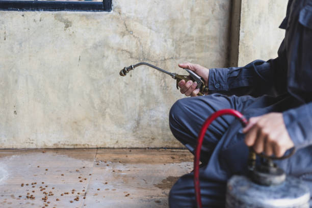 Best Pest Control for Homes  in Trenton, GA